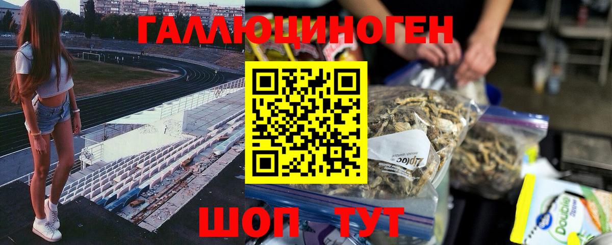 Псилоцибиновые грибы Psilocybe  Вход с VPN  Янаул 