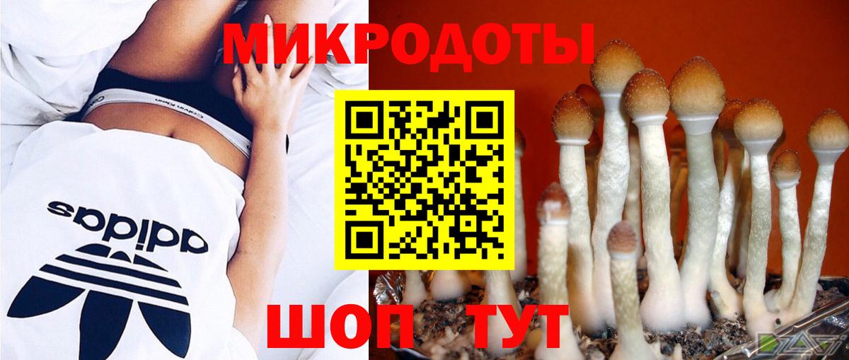 Псилоцибиновые грибы ЛСД Янаул